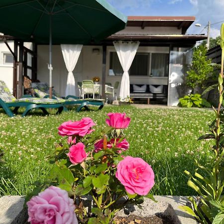 Villa Charmante petite maison Transylvanie à Săcele Extérieur photo
