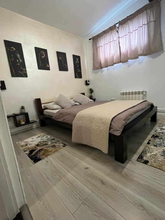 Villa Charmante petite maison Transylvanie à Săcele Extérieur photo
